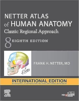 NETTER ATLAS of HUMAN ANATOMY